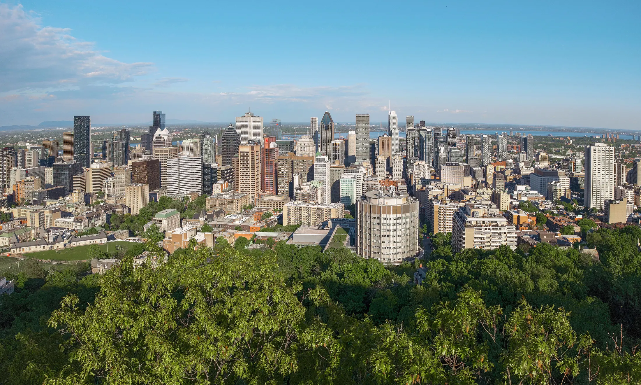 Contemporary skyline of downtown Montréal viewed from Mount Royal